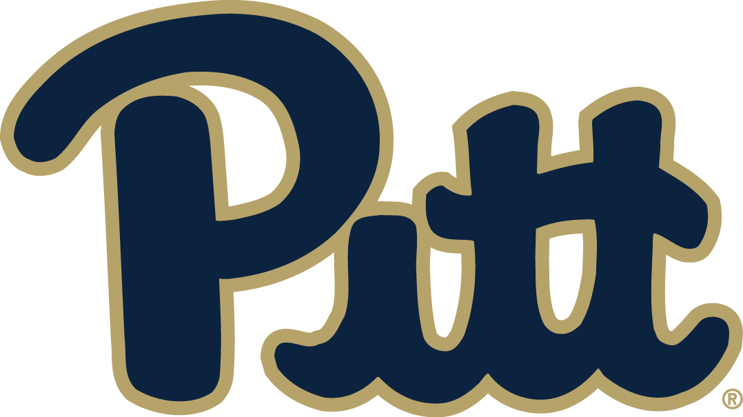 Pittsburgh Panthers 2016-2018 Primary Logo t shirts iron on transfers